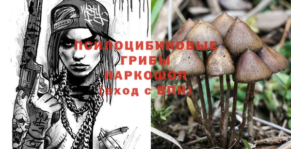 дурь Армянск