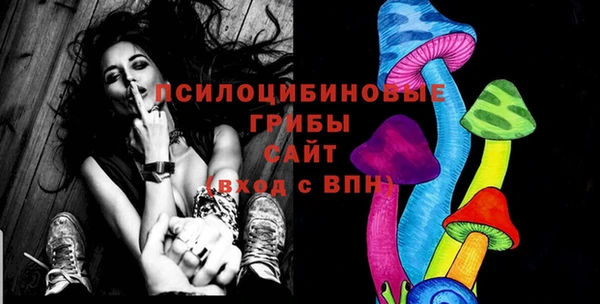 мет Арсеньев