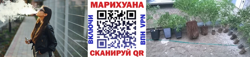 кракен зеркало  даркнет наркотические препараты  Бошки Шишки AK-47  Новоульяновск 